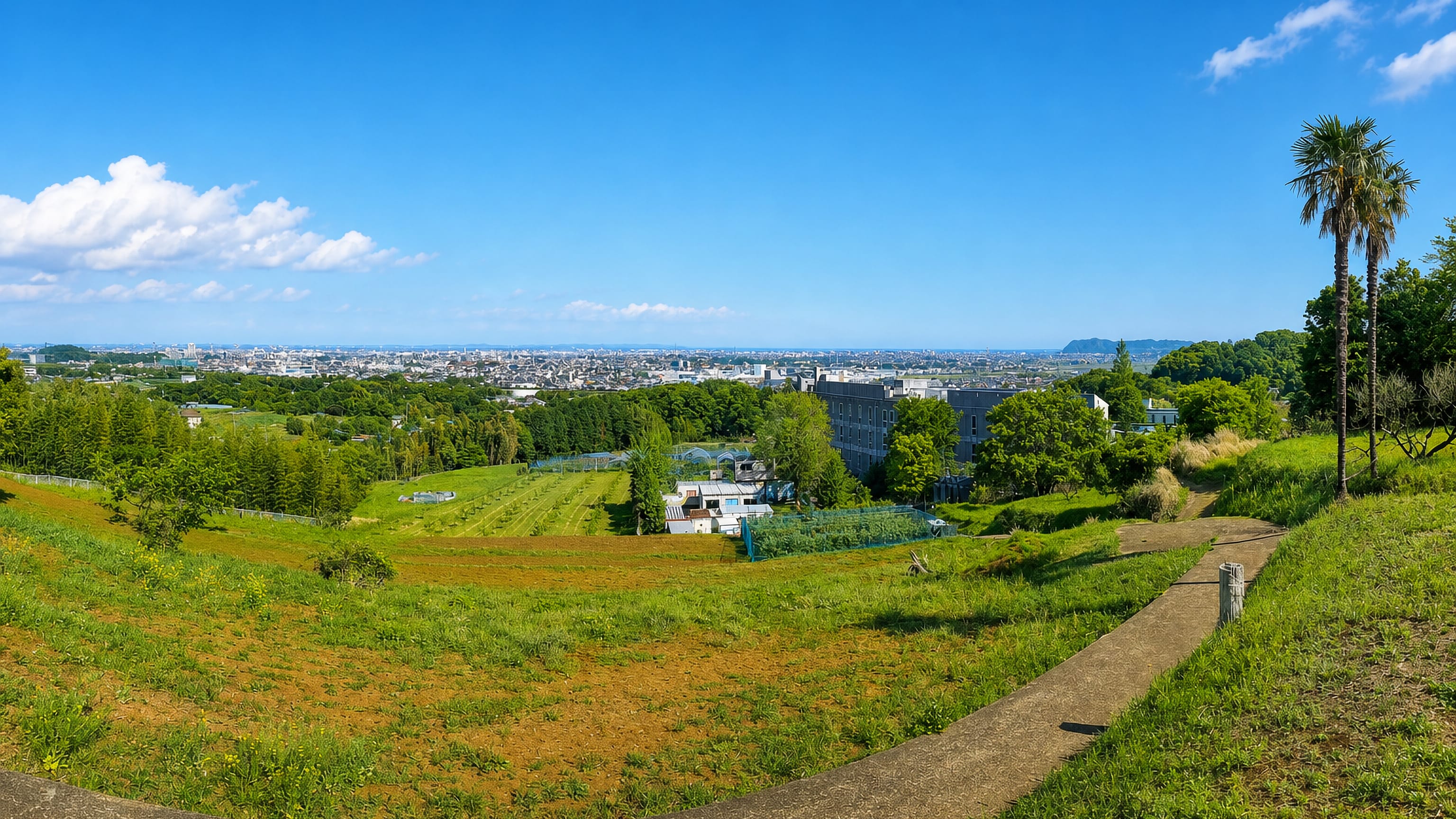 Hilltop meadow path above Isehara, Kanagawa, looking out over the town and the Kanto plain.