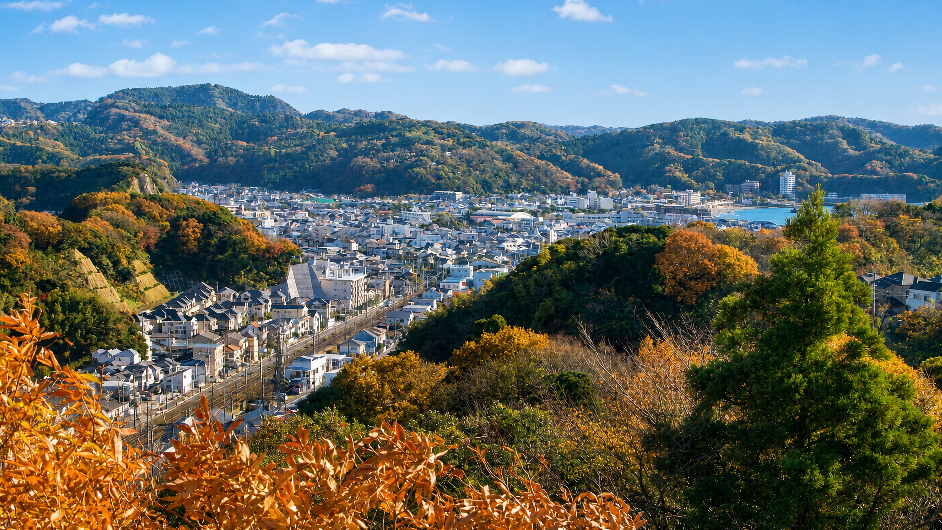 Hilltop view over Zushi, Japan, low-rise streets in a wooded valley with Sagami Bay beyond.