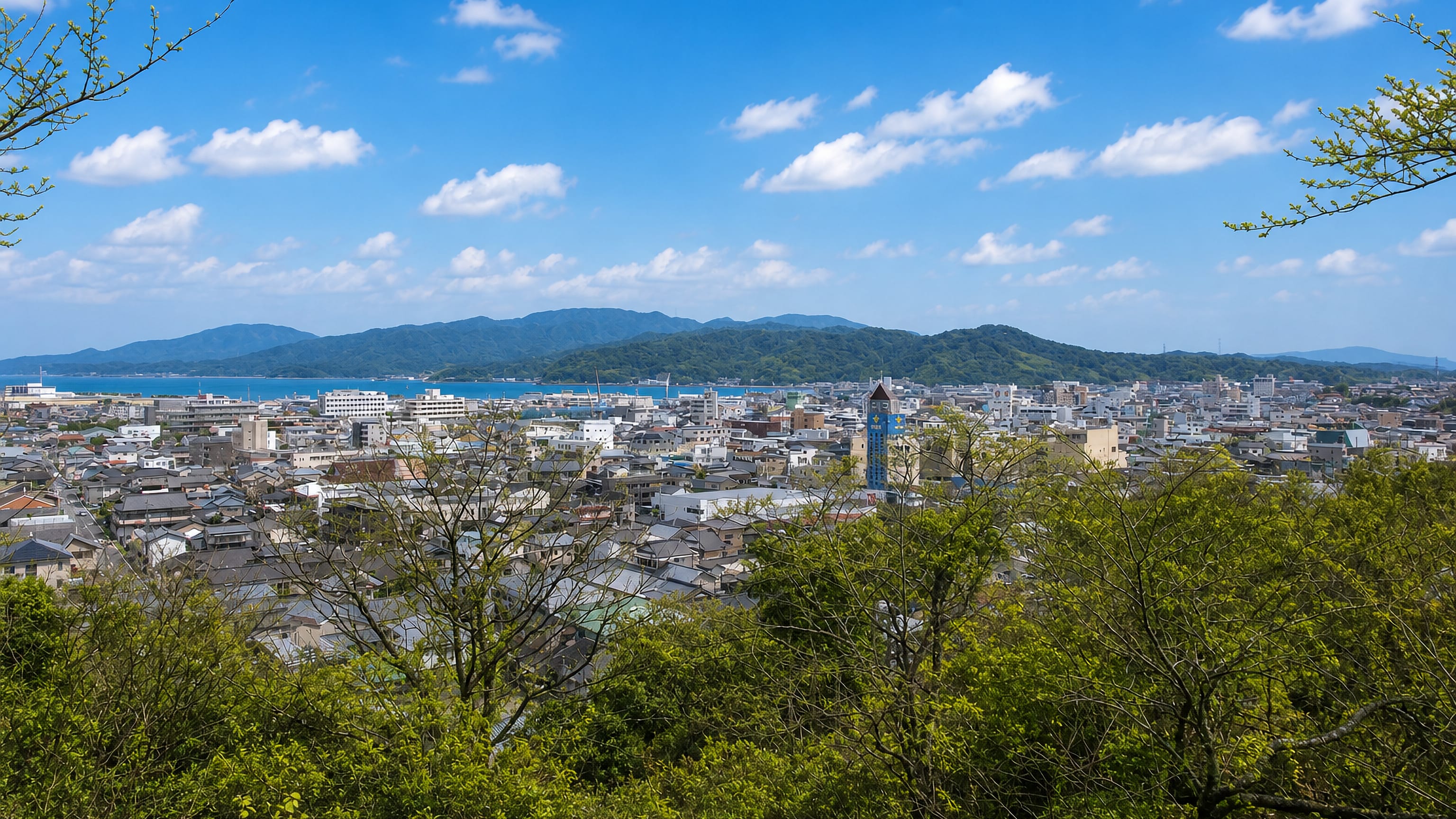Hillside view over Amakusa, Japan, rooftops stretching to the sea and blue mountains under a clear sky.