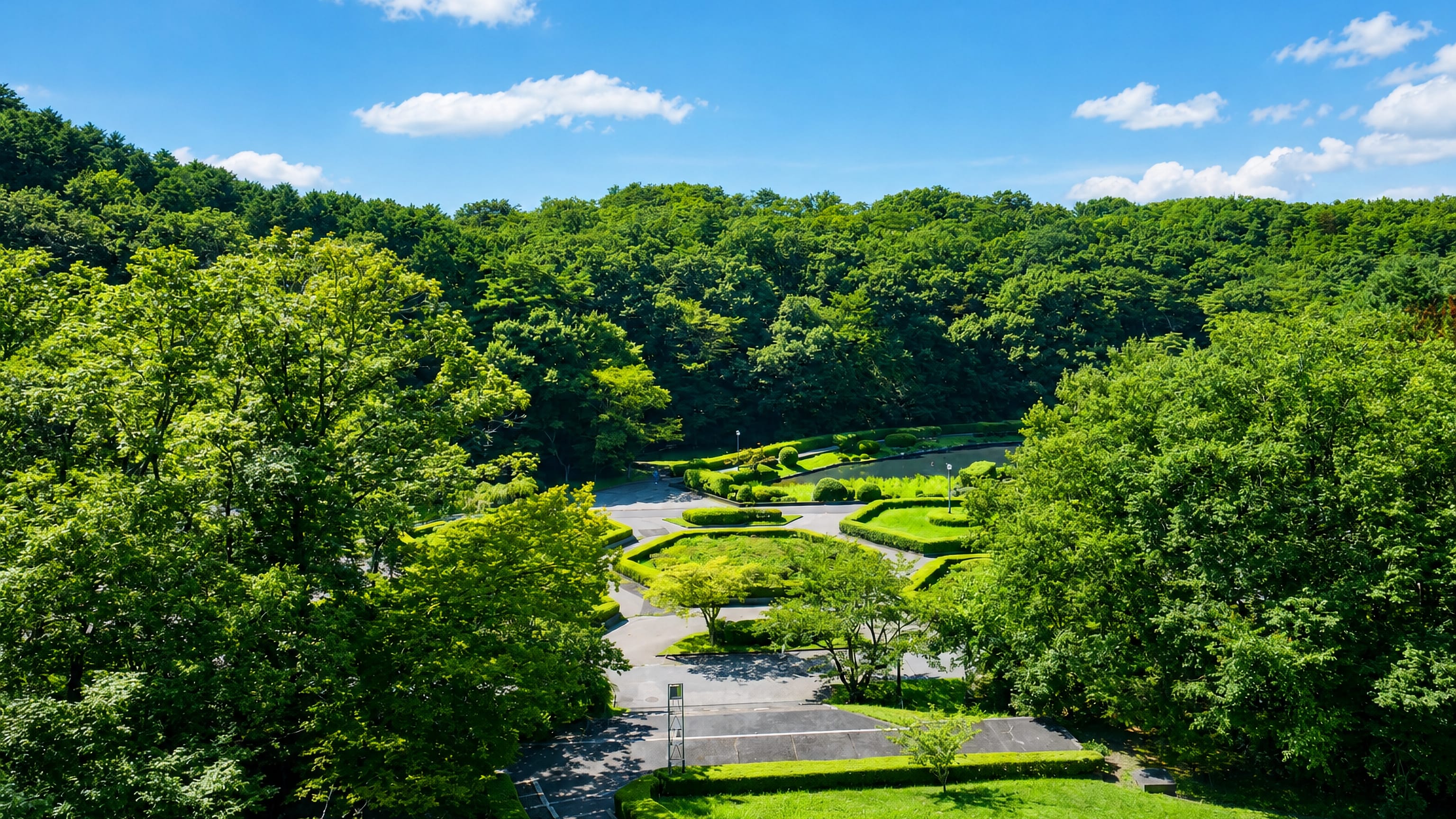 Wooded paths, hedges and a pond in Dainohara Forest Park in Sendai's Aoba ward