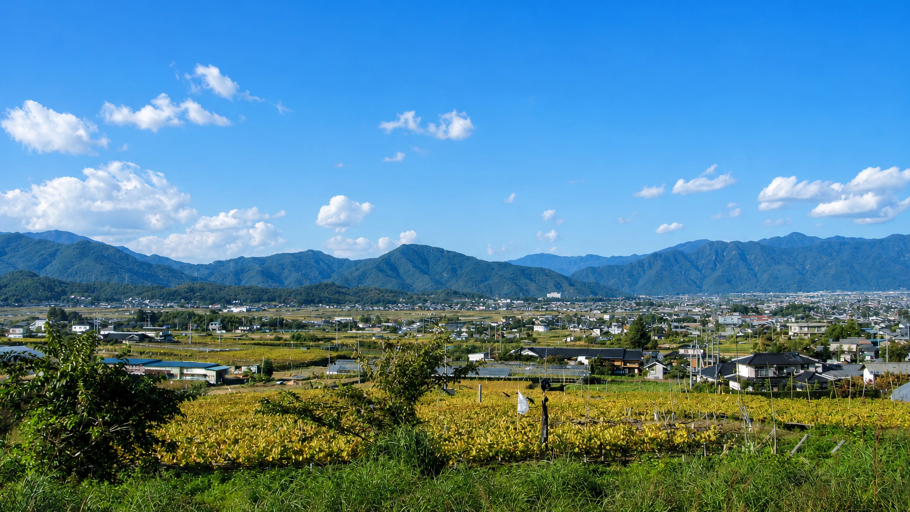 Ueda, Japan, spread across the Nagano basin with orchards in the foreground and mountain ridges behind.