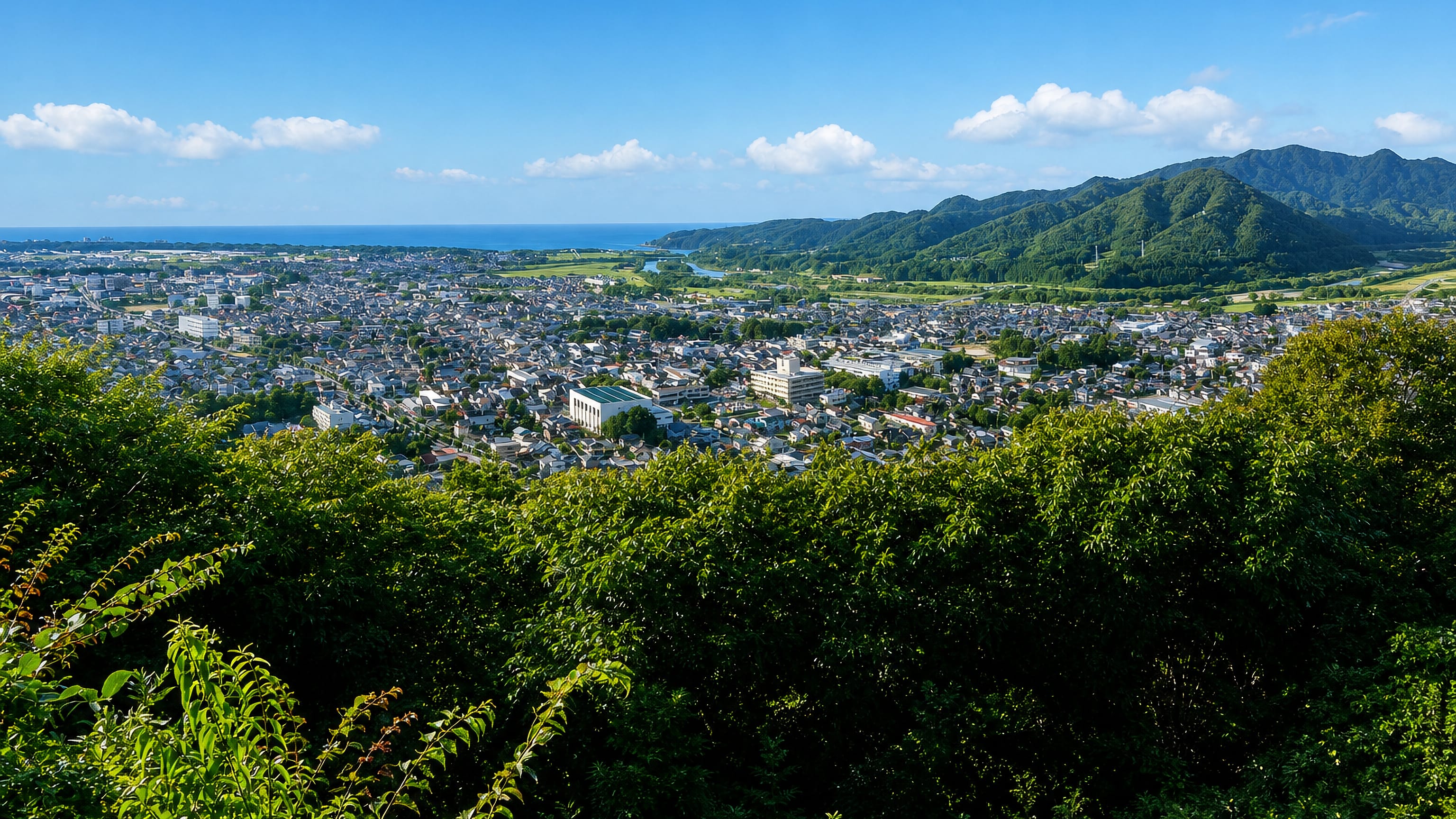 Murakami, Niigata, seen from a wooded hillside, its low rooftops spreading to the Sea of Japan and green mountains.