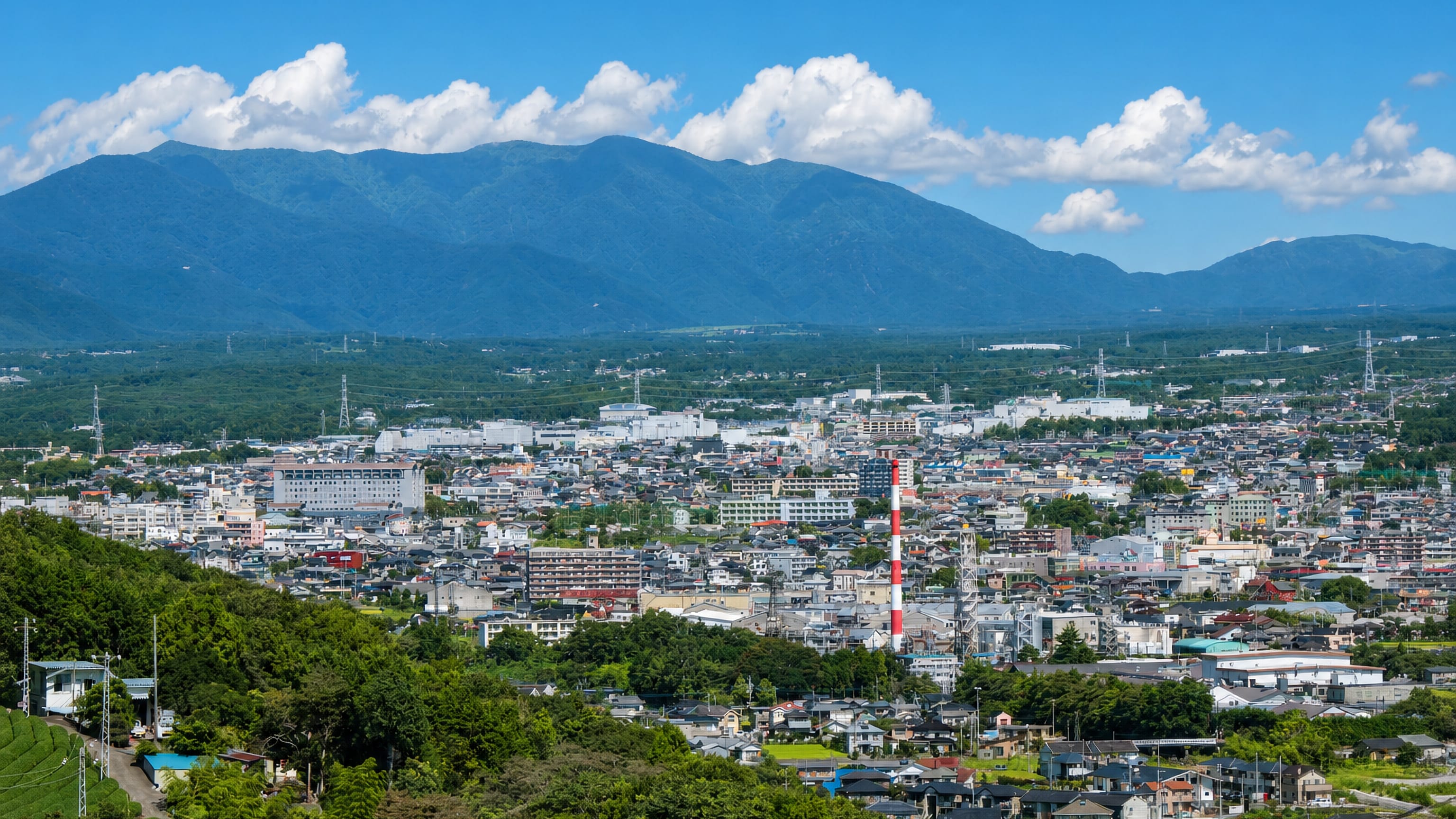 Fujinomiya spread below a long forested ridge in Shizuoka, with tea fields on the slopes in front.