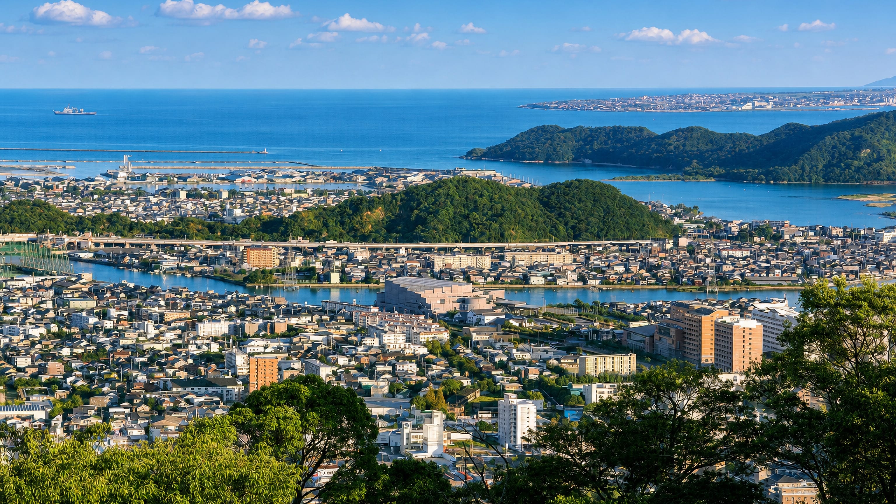 Tokushima spread across its river delta below wooded hills, with the Kii Channel and coast beyond.