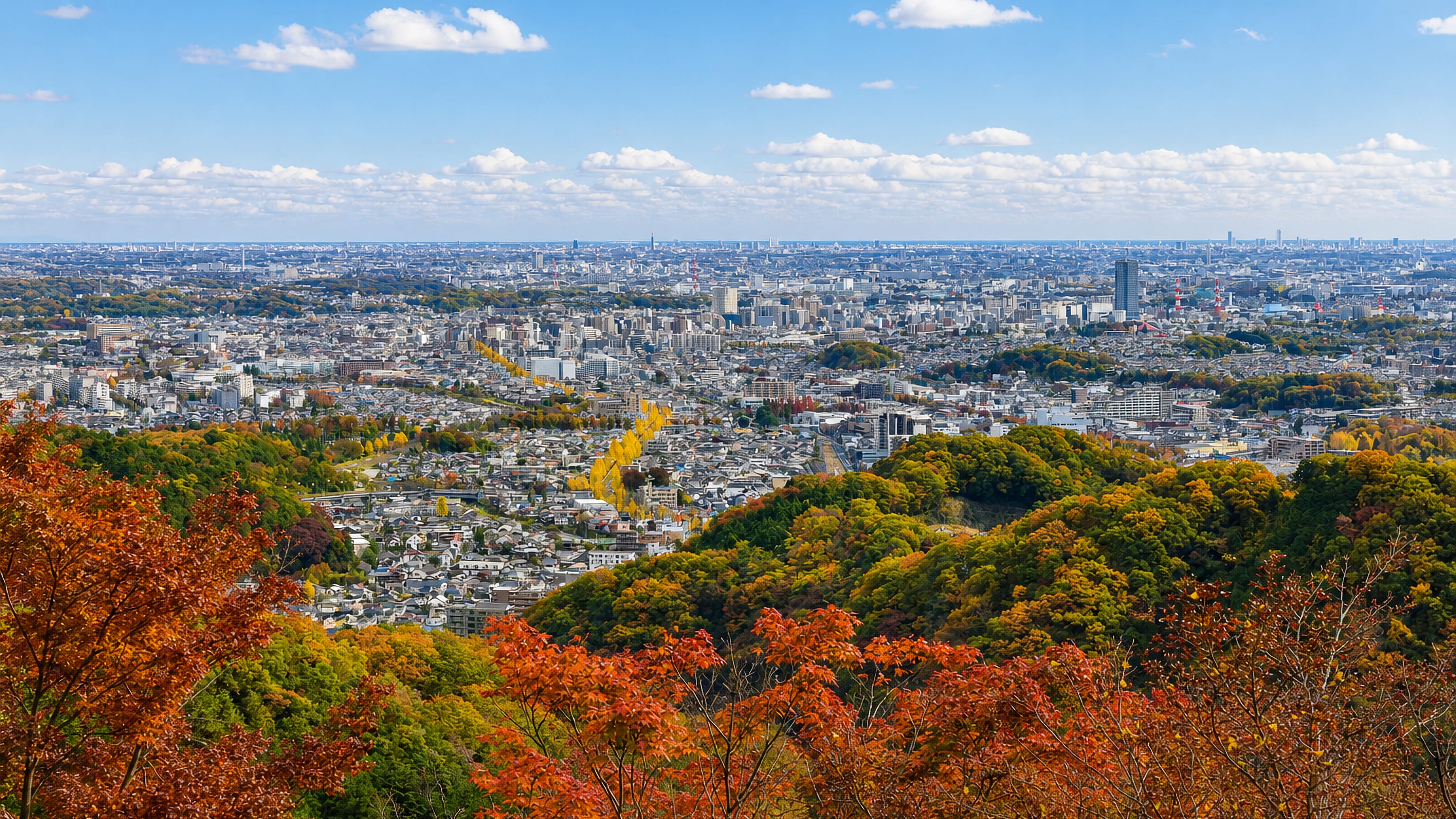 Autumn maples frame a hilltop panorama over Hachiōji's low-rise sprawl and the distant Tokyo skyline.