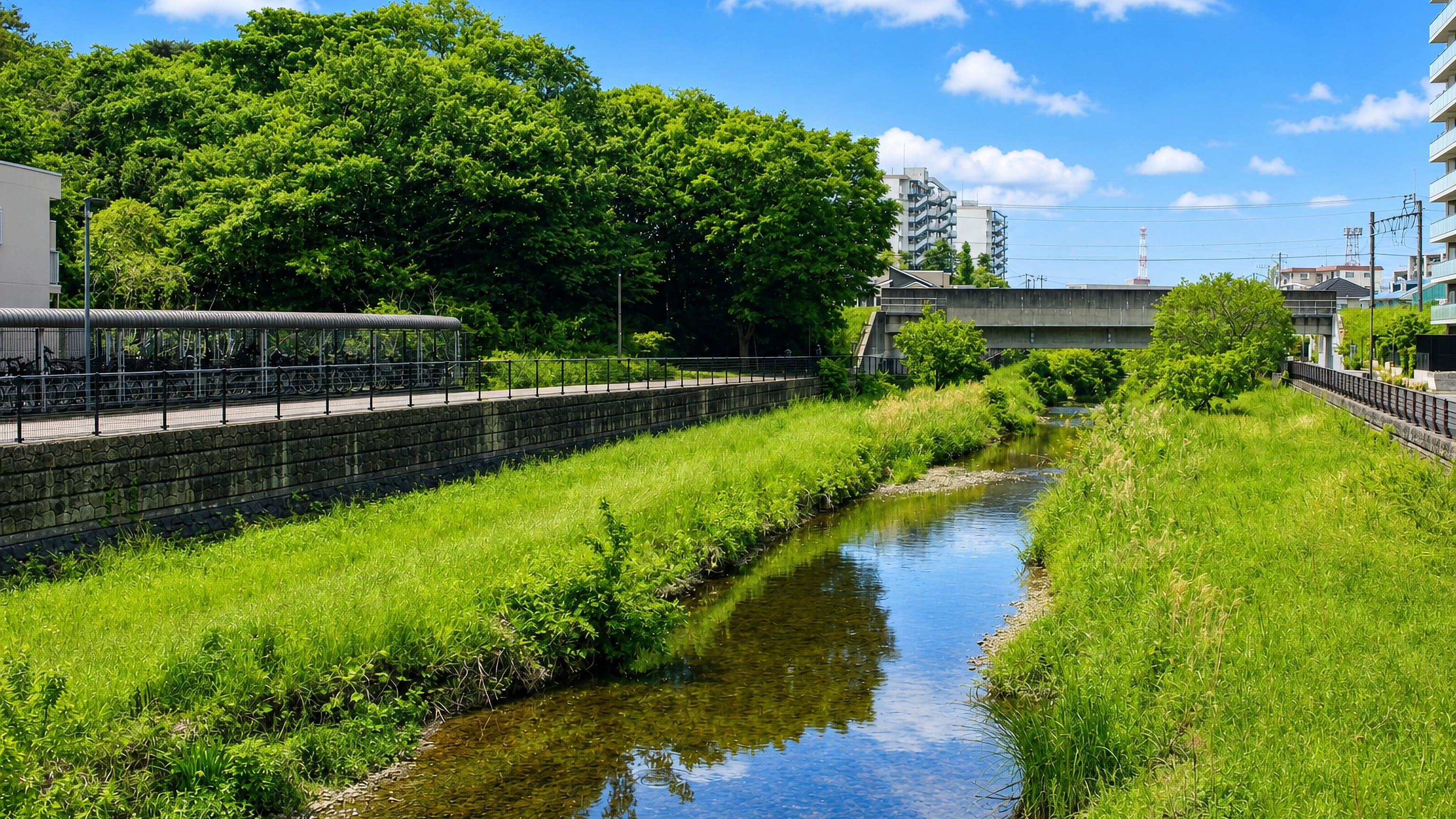 A grass-banked stream and cycle path in Higashimurayama, western Tokyo, with apartment blocks beyond the trees.