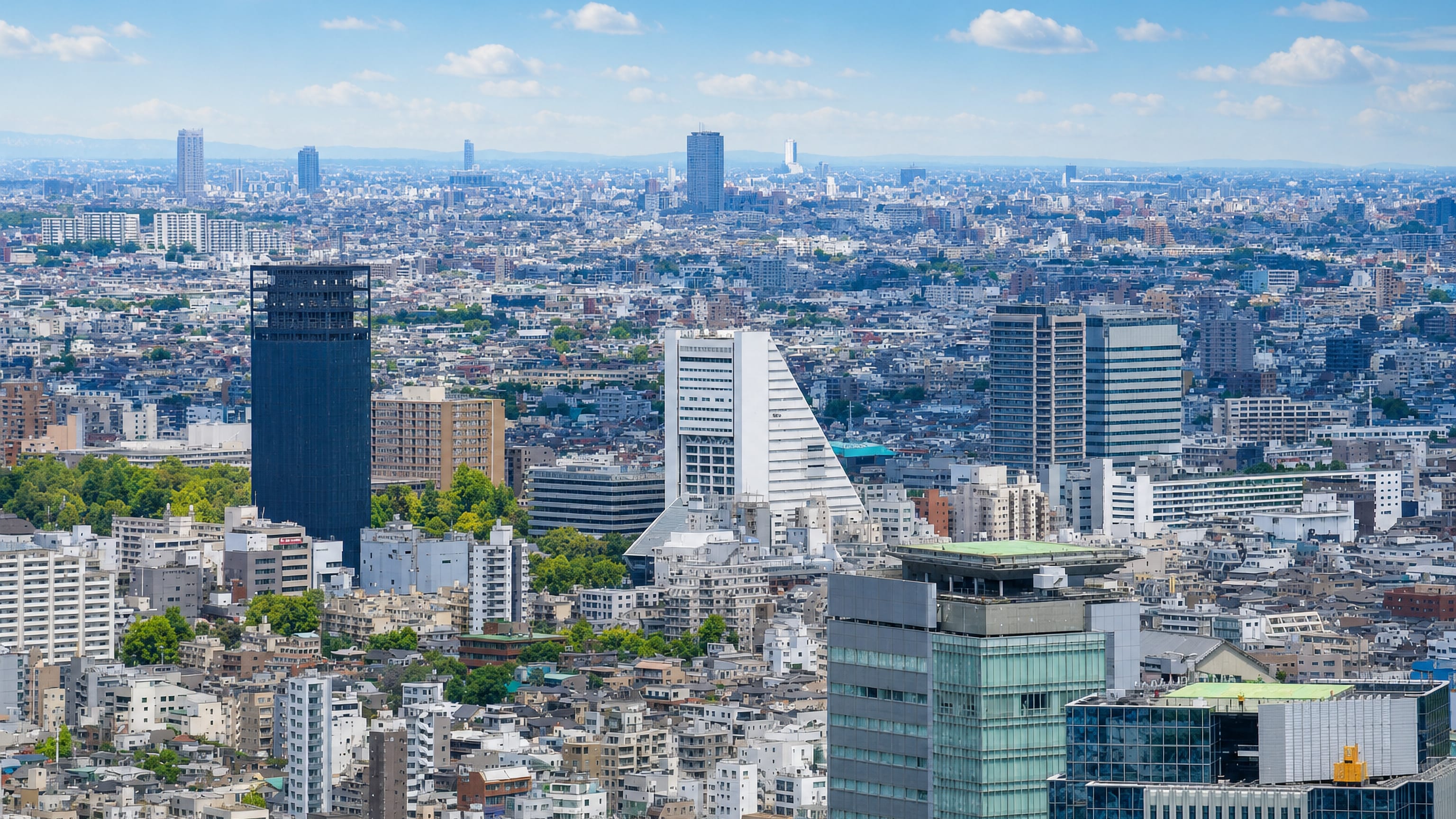 Dense low-rise Nakano ward spreading toward the Tokyo skyline, with the wedge-shaped Nakano Sunplaza at centre.