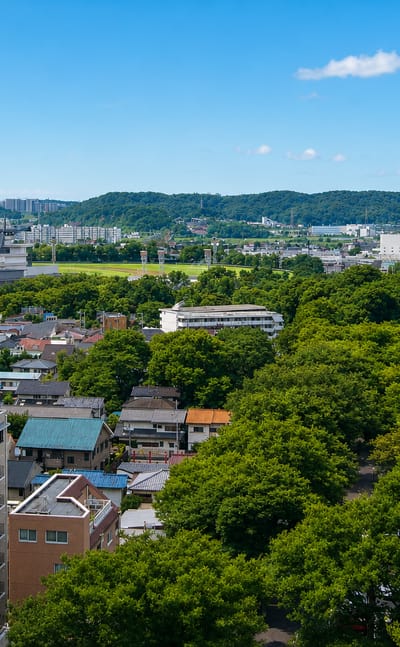 Elevated view over low-rise houses and leafy green streets of suburban Fuchū, western Tokyo.