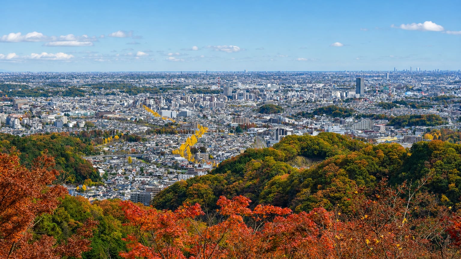 Hachiōji-shi