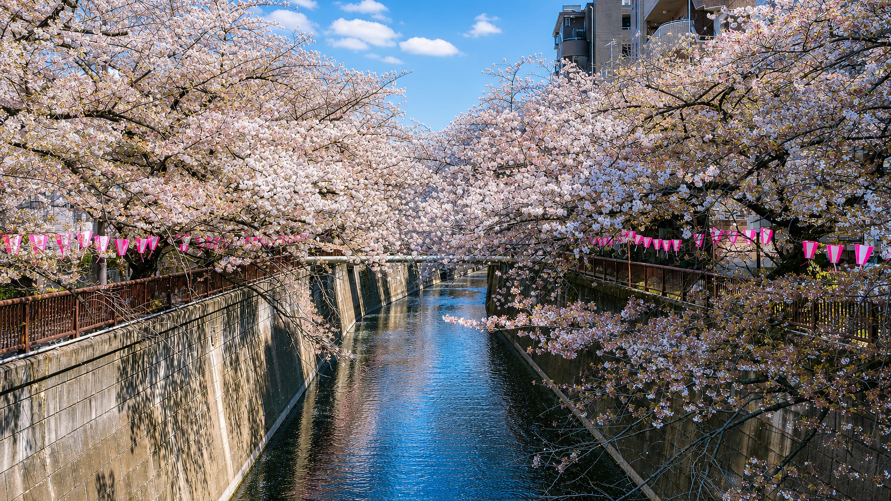 Cherry blossoms and pink lanterns lining the Meguro River canal in Meguro, Tokyo, under a clear blue sky.
