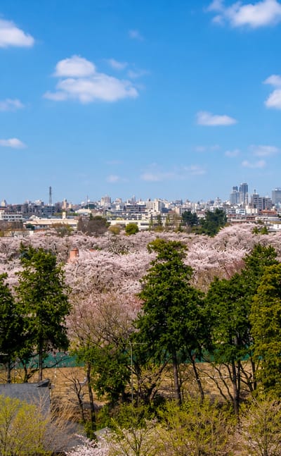 Suginami