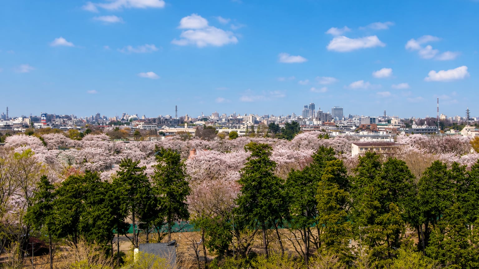 Suginami