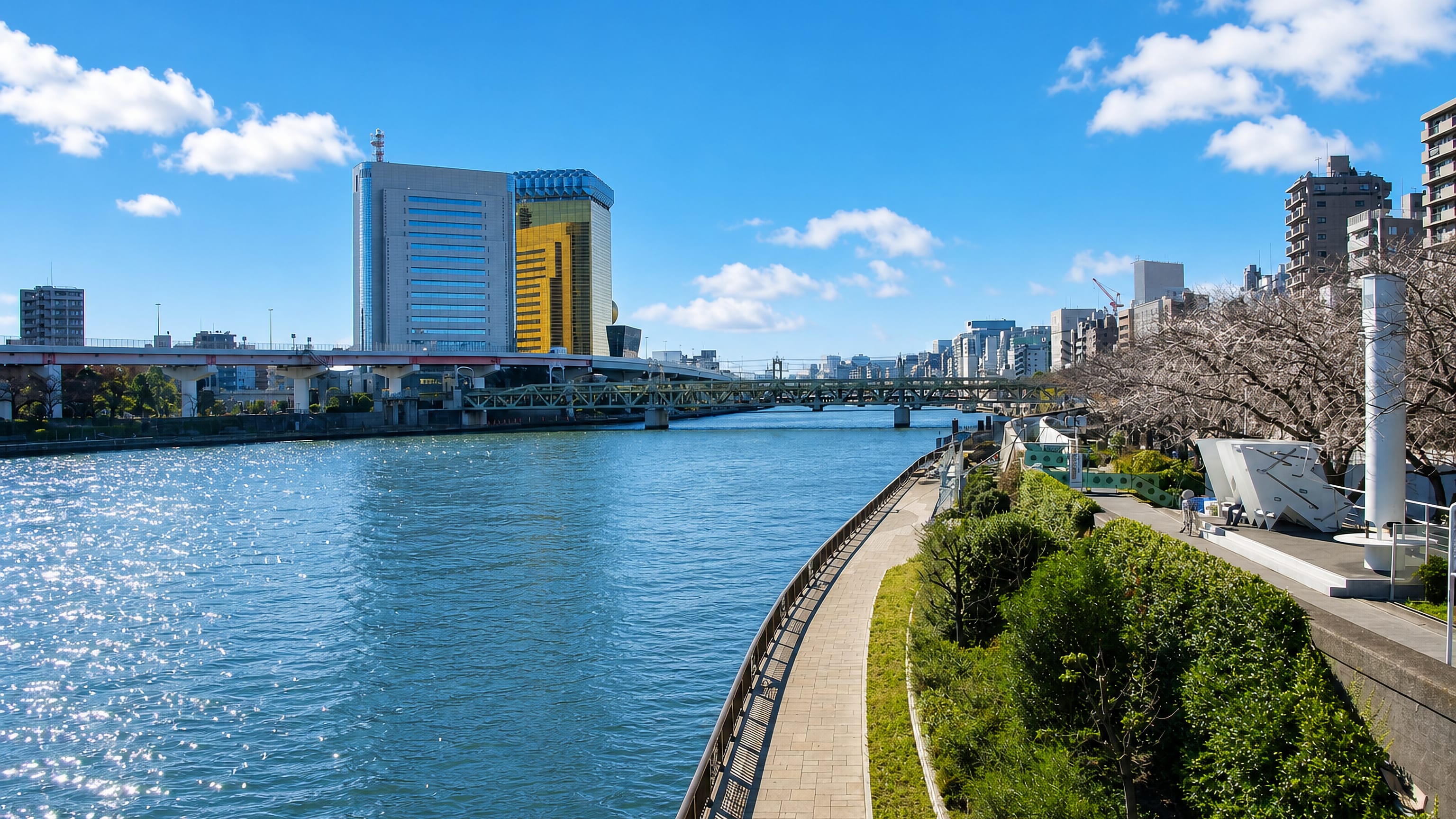 The Sumida River from Sumida Park in Taito, Tokyo, with cherry trees and the Asahi buildings opposite.