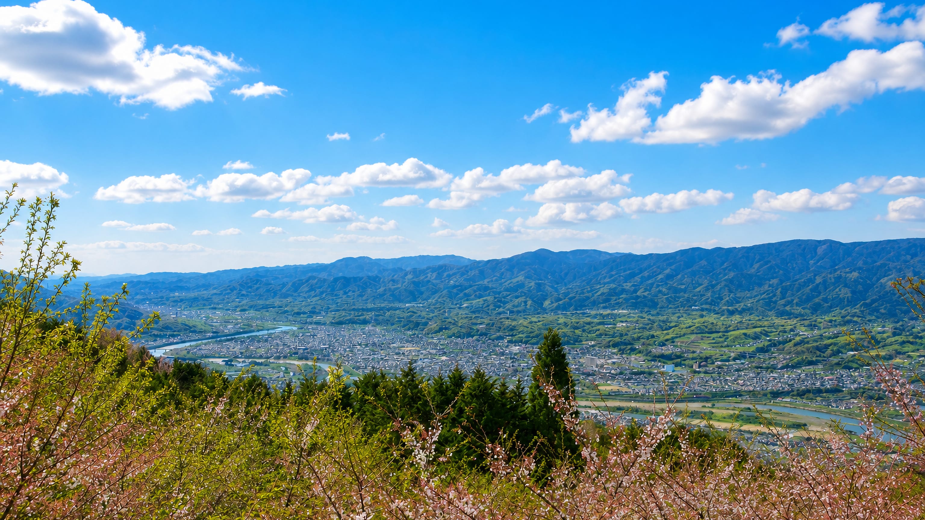 Hashimoto spread along the Kino River valley below wooded ridges, seen past hillside cherry blossom