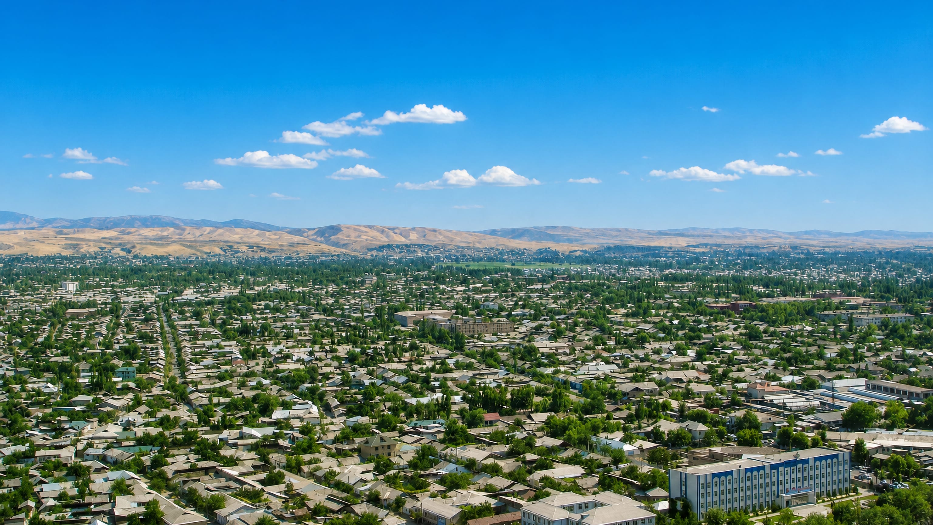Wide view over the low-rise, tree-lined streets of Osh, Kyrgyzstan, with dry foothills on the horizon.