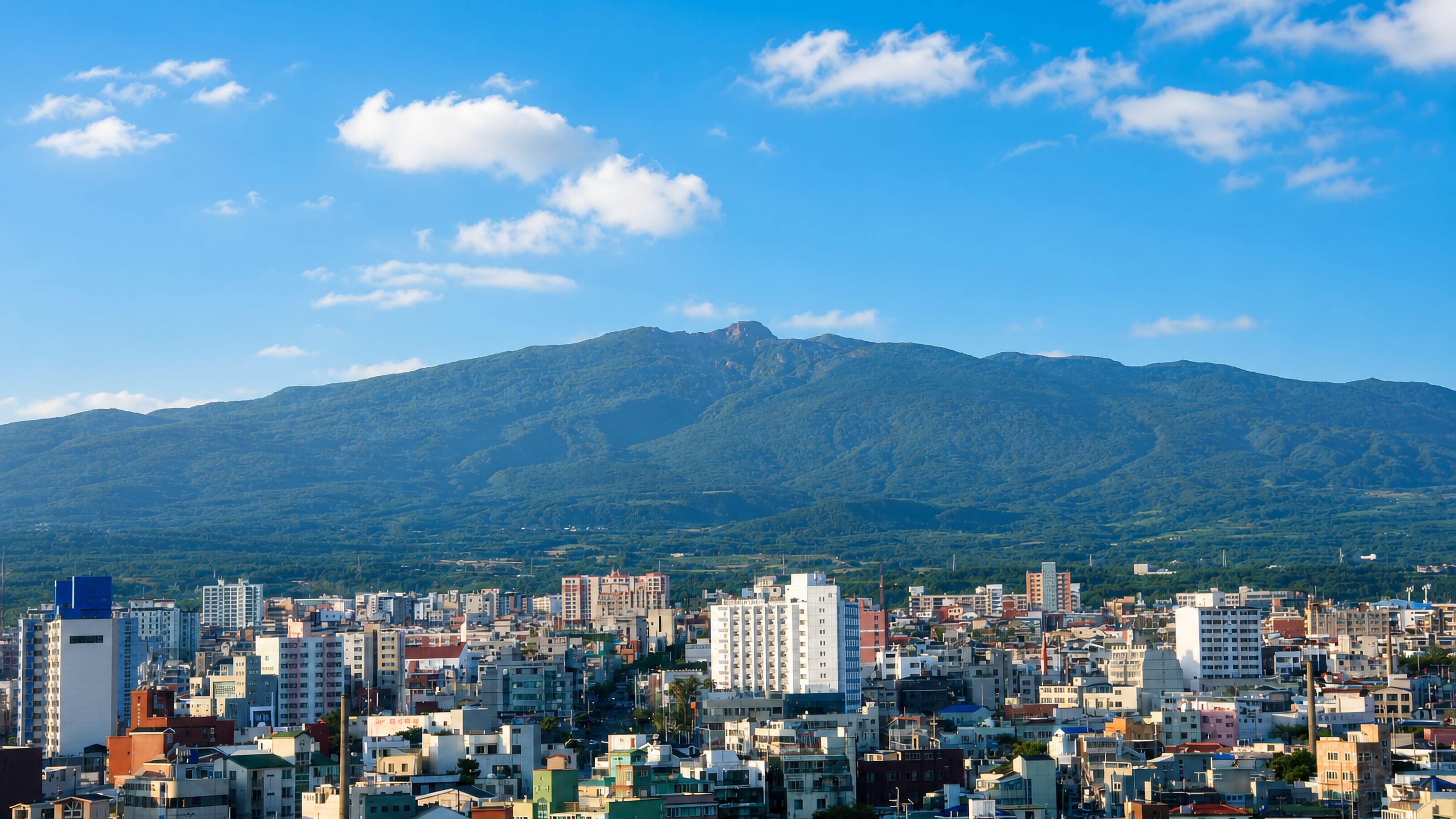 Low-rise Jeju City spreading below the broad volcanic slopes of Hallasan under a clear sky.