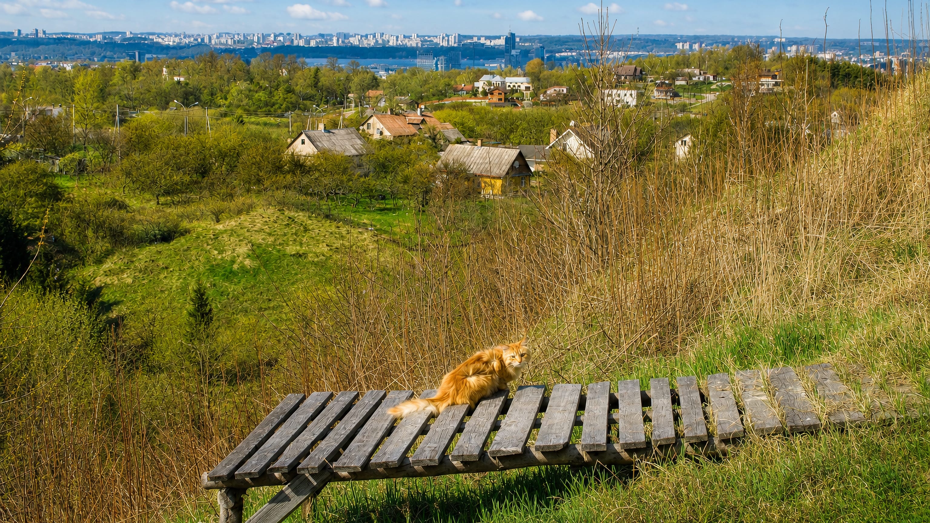 Wooden houses and orchards on the hillside of Rasos, Vilnius, with the city's high-rise skyline beyond
