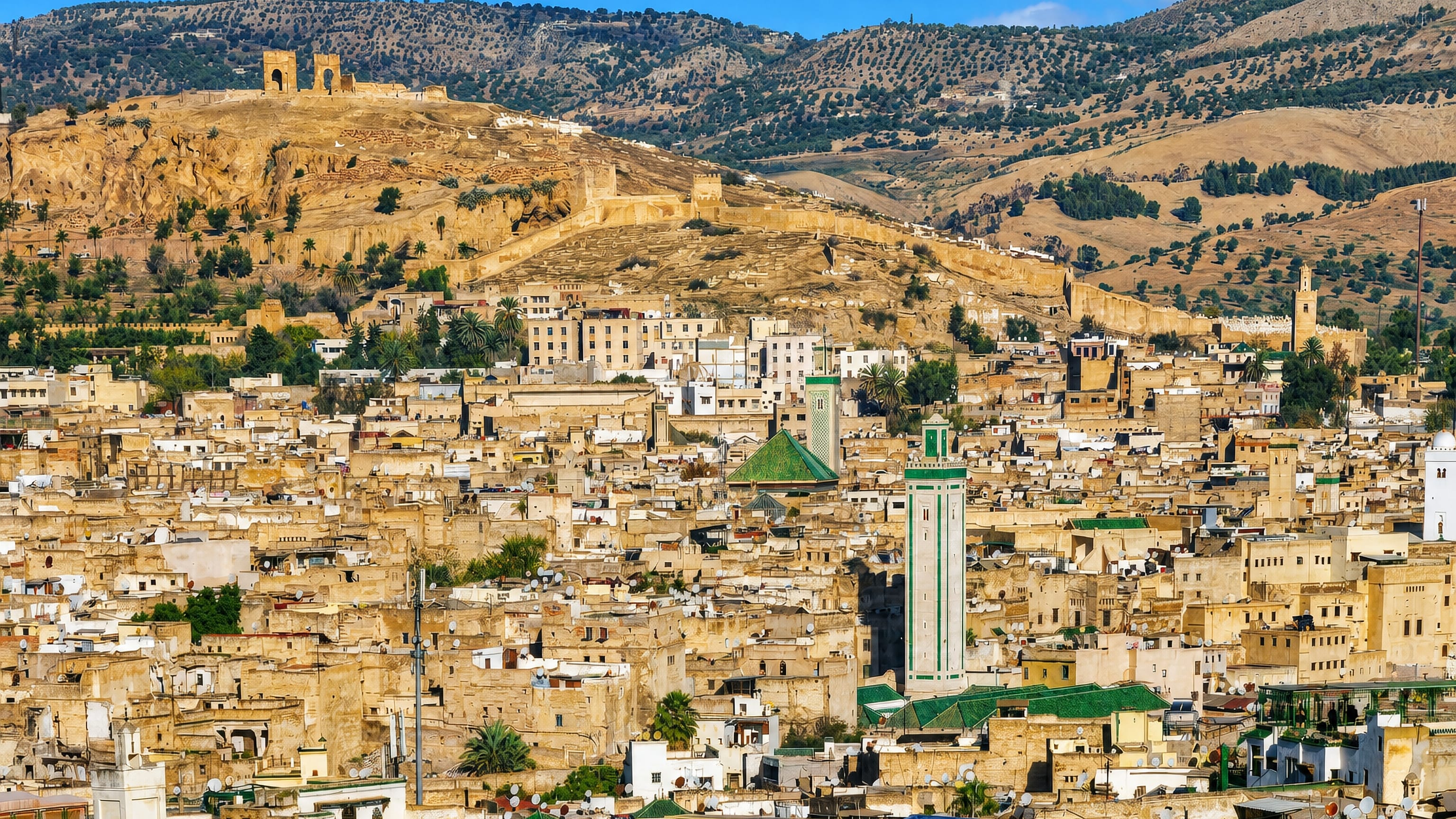 Fes al Bali medina rooftops with green-tiled mosque roofs and minarets below the hills above Fez, Morocco.