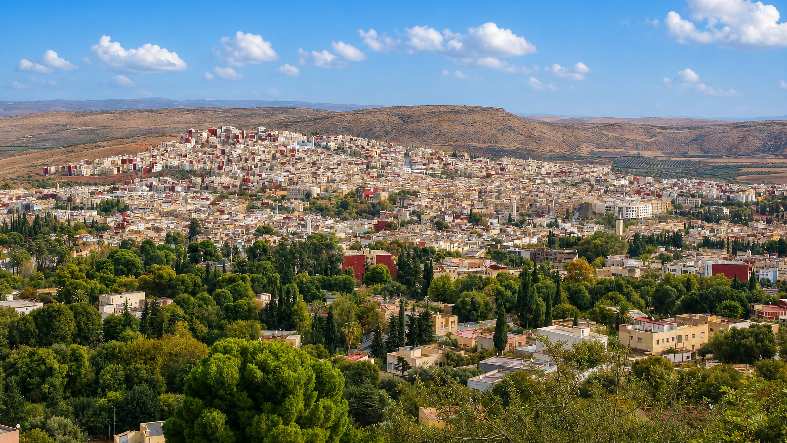 Sefrou, Morocco, spread across a hillside below the Middle Atlas, with cypress groves in the foreground