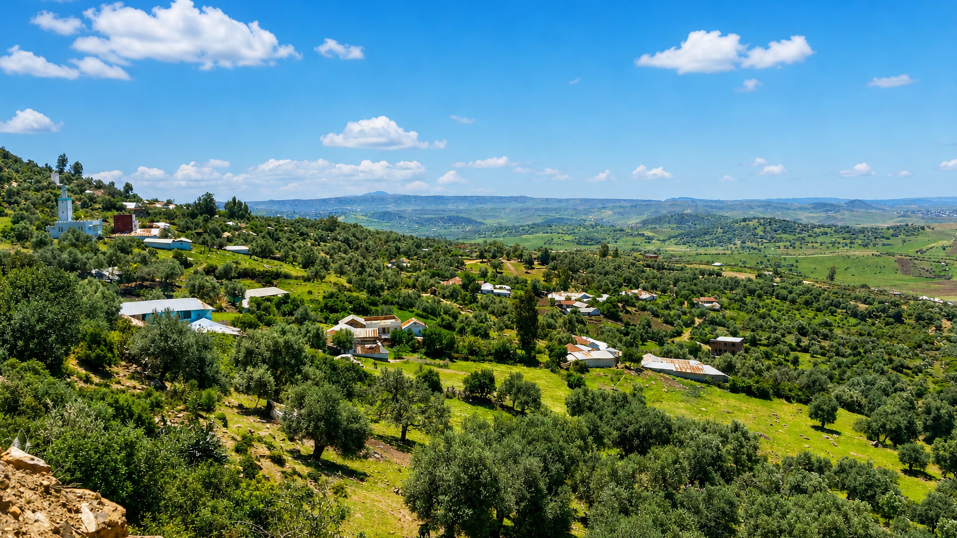 Rolling olive groves and scattered whitewashed houses with a minaret in the hills near Ksar El Kebir, Morocco.