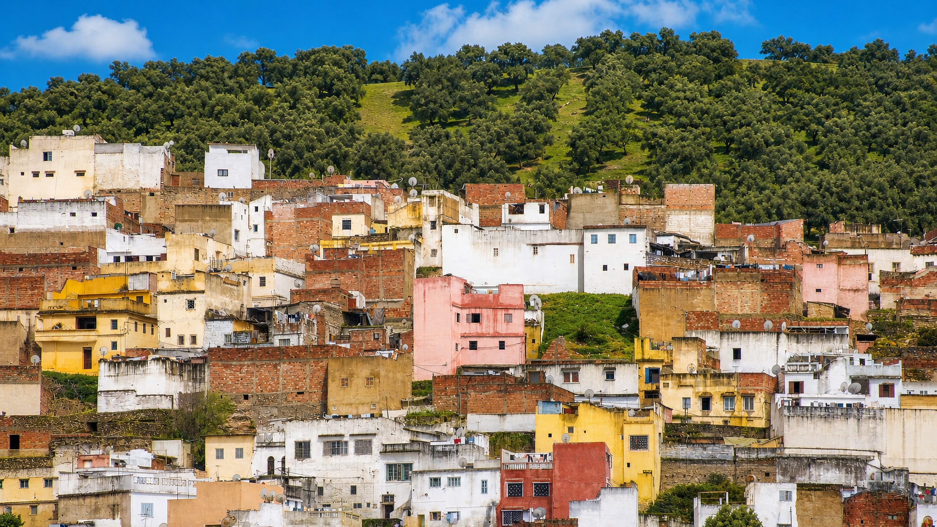 Hillside houses in white, ochre and terracotta stacked below olive-covered slopes in Ouezzane, Morocco.