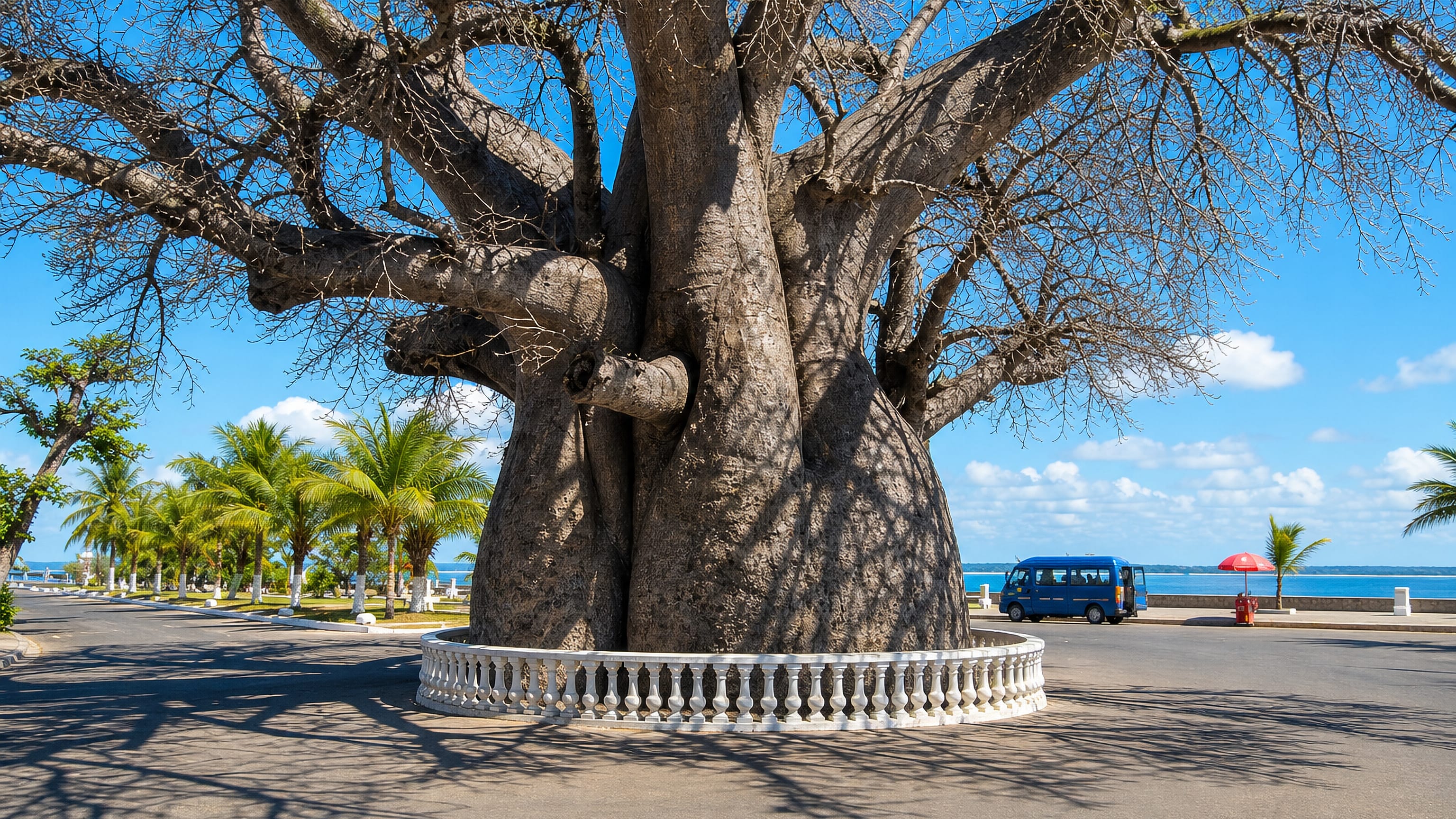 A giant baobab tree on the seafront promenade at Mahajanga, Madagascar, with palms and the Mozambique Channel behind.