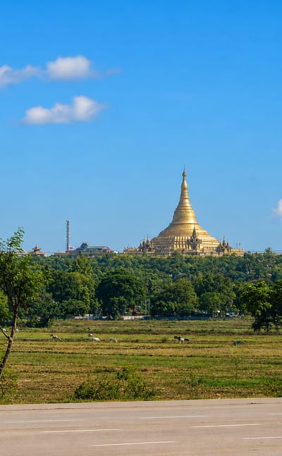 The golden Uppatasanti Pagoda rising above fields in Nay Pyi Taw, Myanmar, under a clear blue sky.