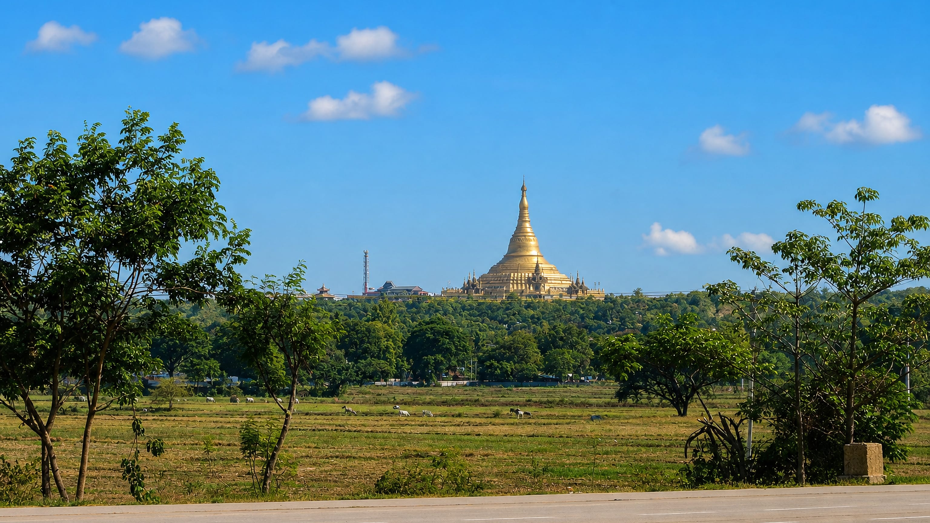 The golden Uppatasanti Pagoda rising above fields in Nay Pyi Taw, Myanmar, under a clear blue sky.