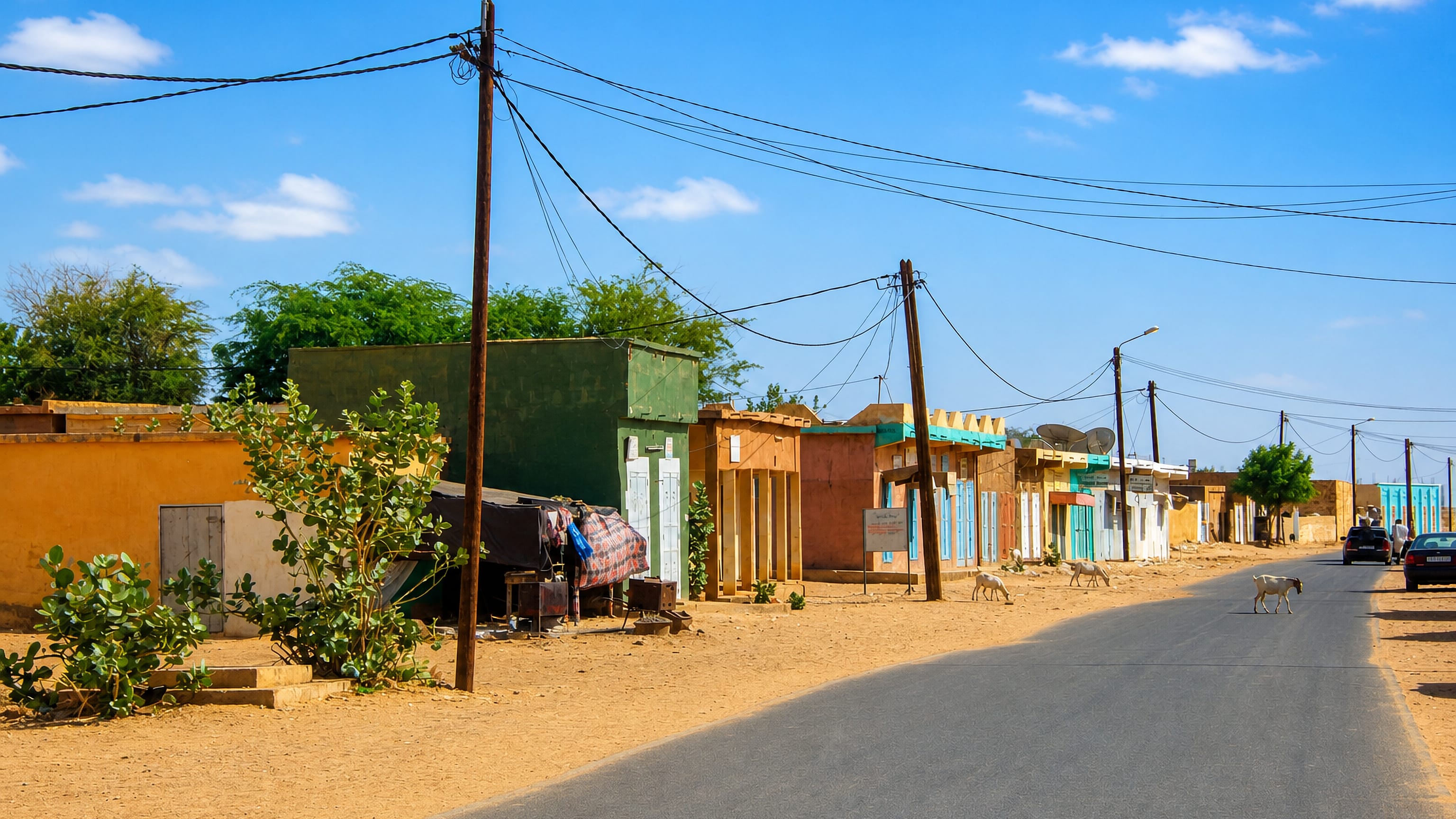 Sandy main street lined with low painted shops and wandering goats in Kiffa, Mauritania's Assaba region.