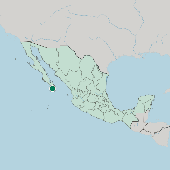Map showing Cabo San Lucas — In Mexico
