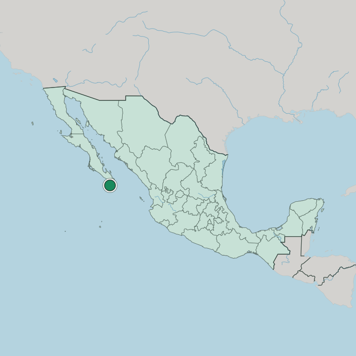 Map showing Cabo San Lucas — In Mexico