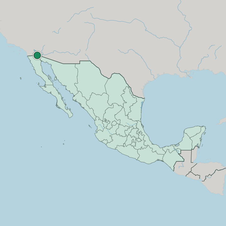 Map showing Mexicali — In Mexico