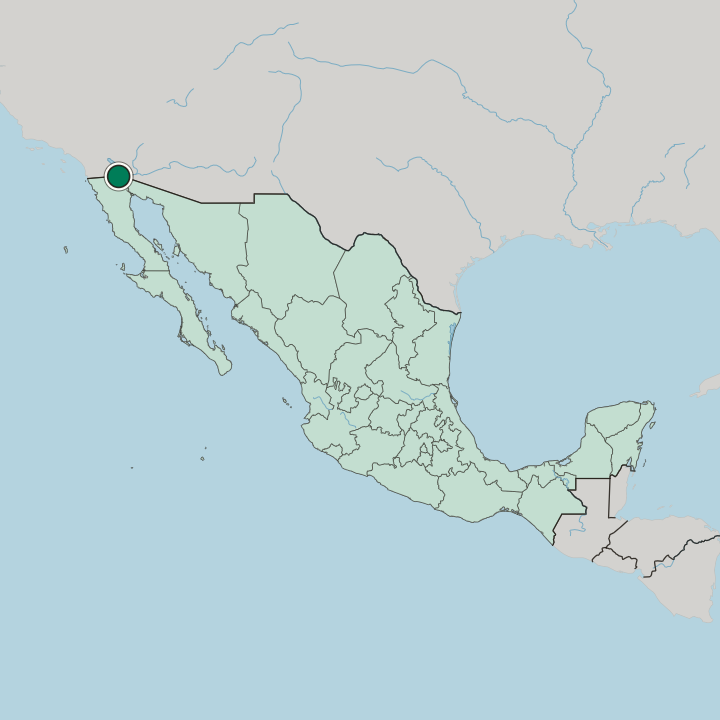 Map showing Mexicali — In Mexico