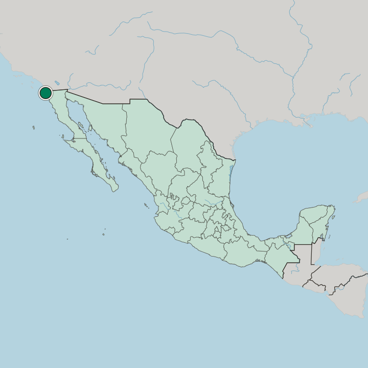 Map showing Rosarito — In Mexico