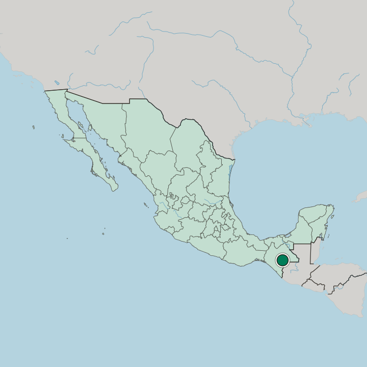 Map showing Comitán — In Mexico