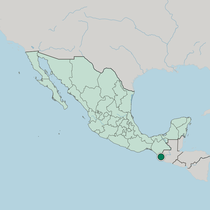 Map showing Tapachula — In Mexico