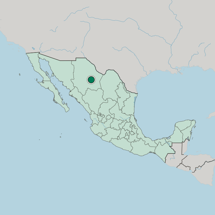 Map showing Ciudad Delicias — In Mexico