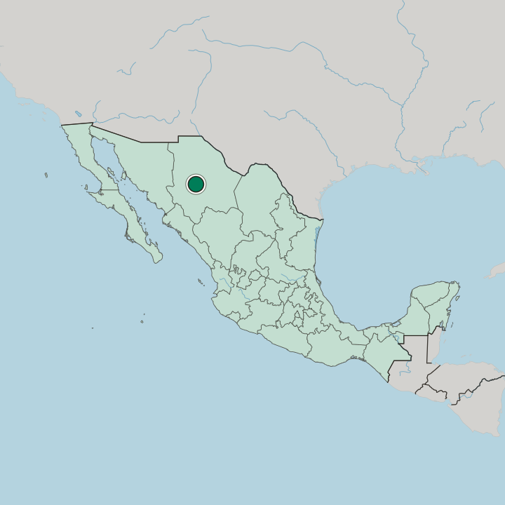 Map showing Cuauhtémoc — In Mexico
