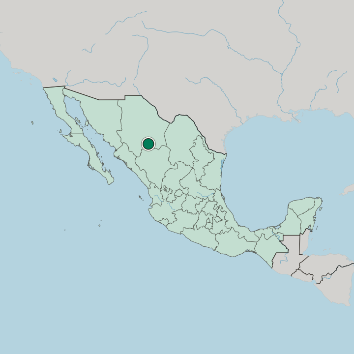 Map showing Hidalgo del Parral — In Mexico