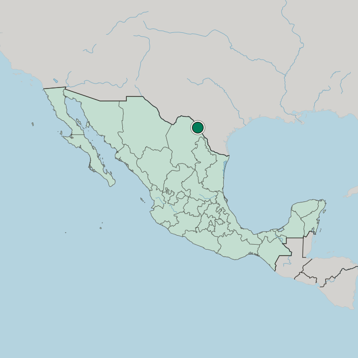 Map showing Piedras Negras — In Mexico