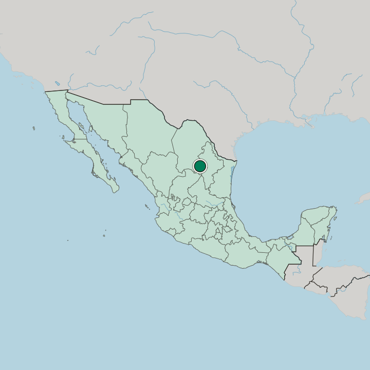 Map showing Saltillo — In Mexico