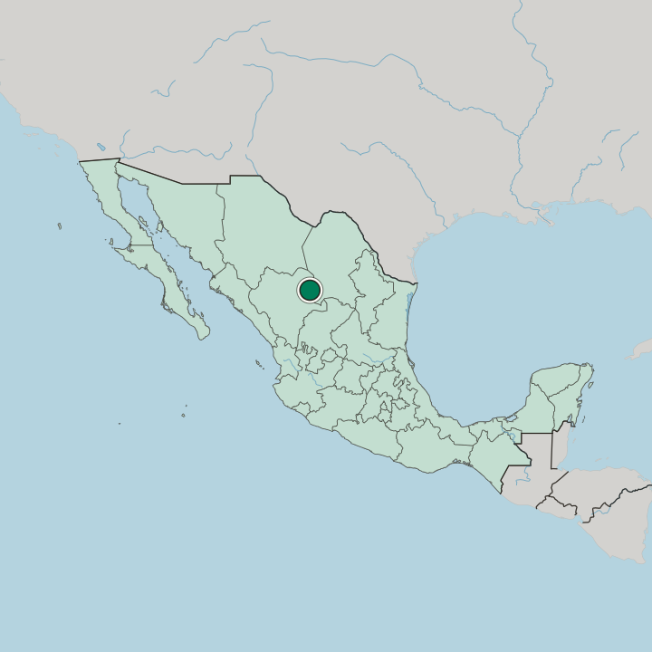 Map showing Gómez Palacio — In Mexico