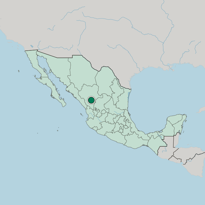 Map showing Victoria de Durango — In Mexico