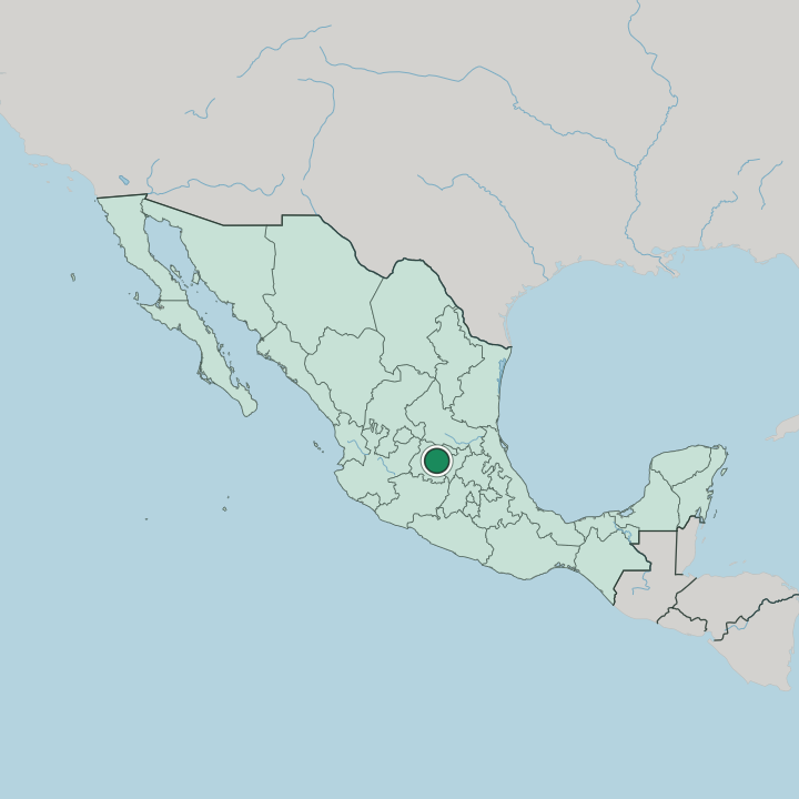 Map showing San Miguel de Allende — In Mexico