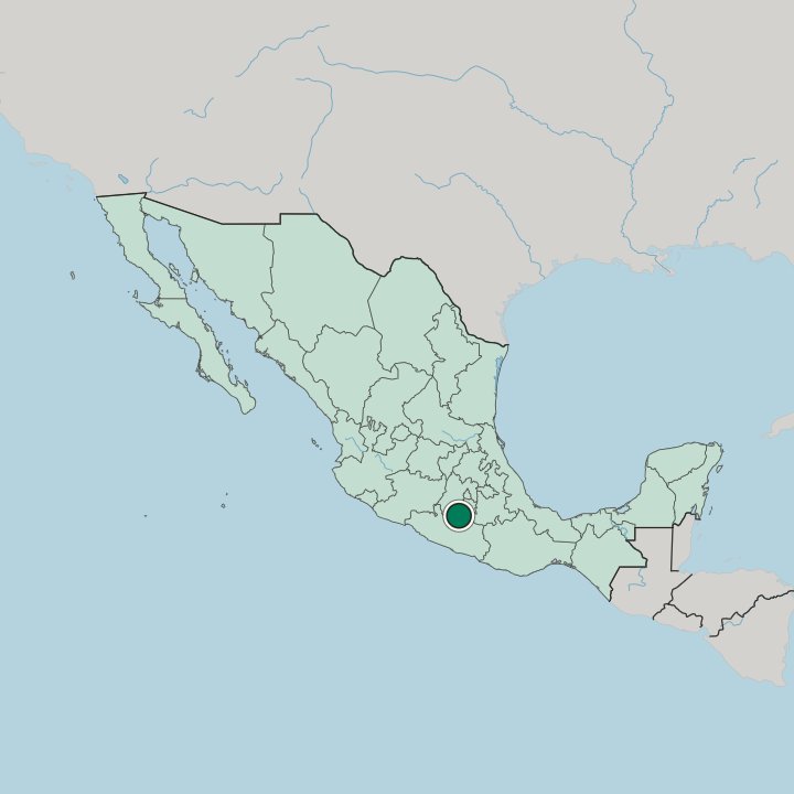 Map showing Iguala de la Independencia — In Mexico