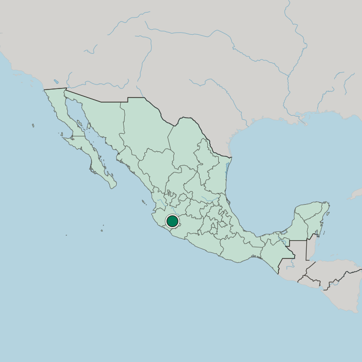 Map showing Ciudad Guzmán — In Mexico