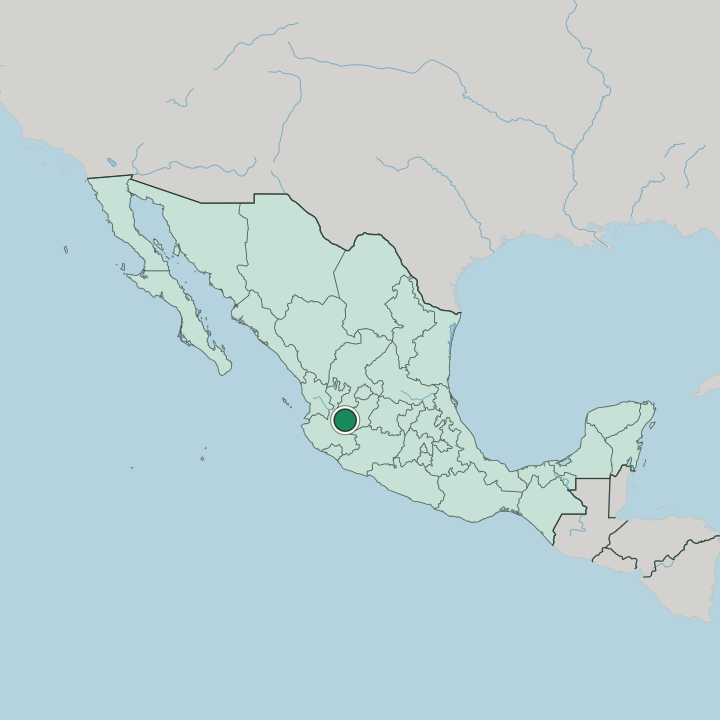 Map showing Guadalajara — In Mexico