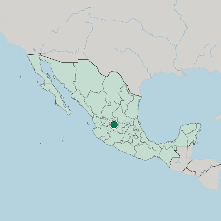 Map showing Lagos de Moreno — In Mexico