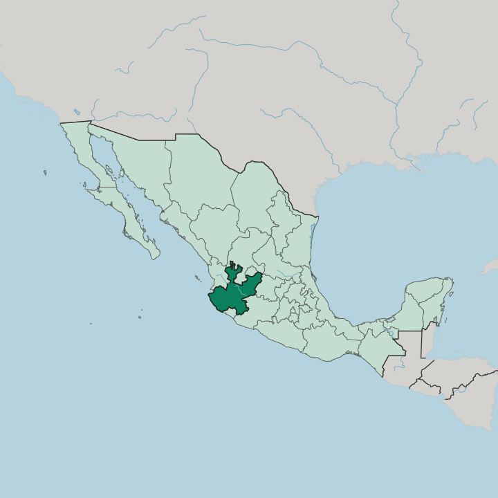 Map showing Estado de Jalisco — In Mexico