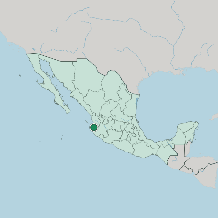 Map showing Puerto Vallarta — In Mexico